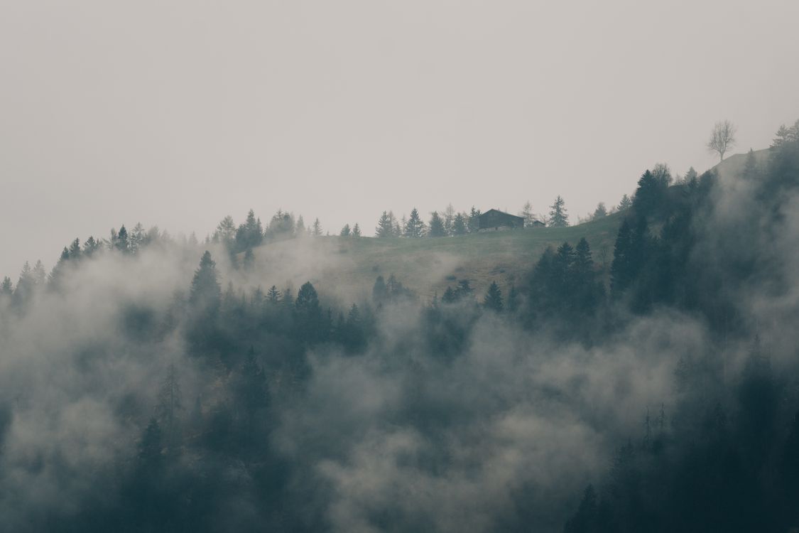 Misty Mountain Landscape with Dense Fog · Free Stock Photo