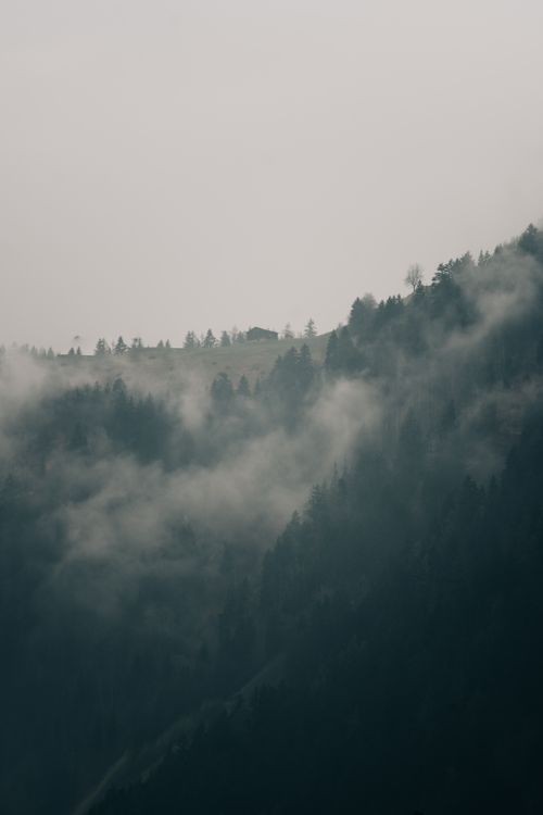 Free A serene mountain view with dense forests partly covered by mist. Stock Photo