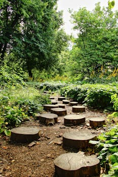 A scenic pathway with wooden steps in a lush green forest, ideal for nature walks and outdoor adventures.