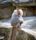 baboon