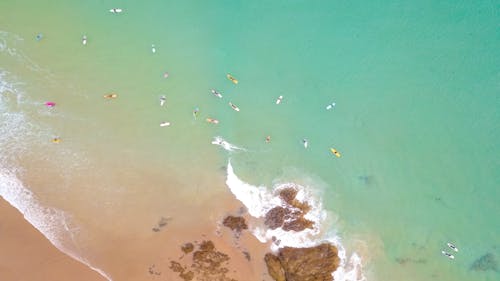 Free Bird's Eye View Of Seashore During Daytime Stock Photo