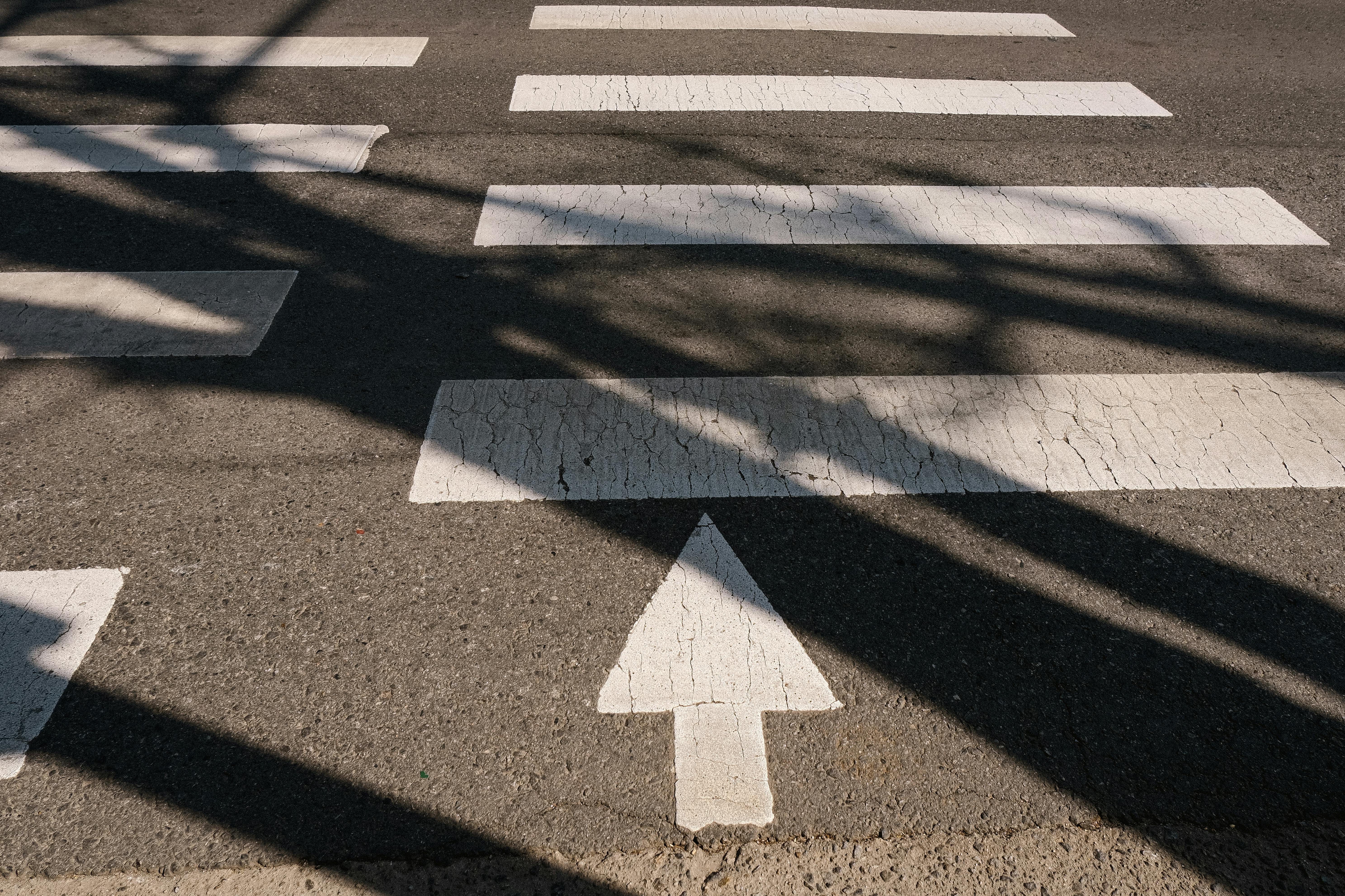 Street crosswalk featuring an arrow and tree shadows, captured in urban setting.