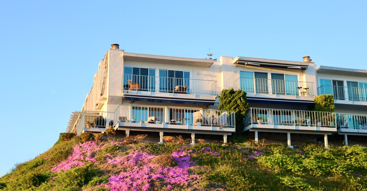 Modern coastal home perched on a California cliff with vibrant flowers and ocean views.
