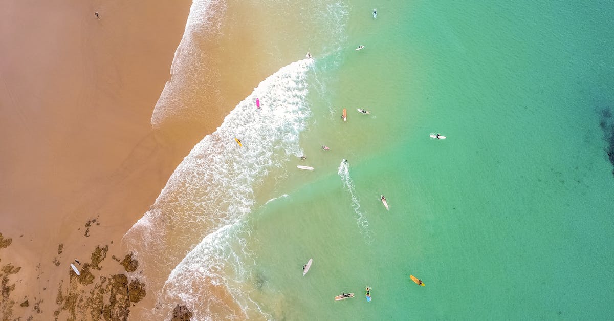 Bird S Eye View Of Seashore During Daytime Free Stock Photo Bird S Eye View Of Seashore During Daytime Free Stock Photo