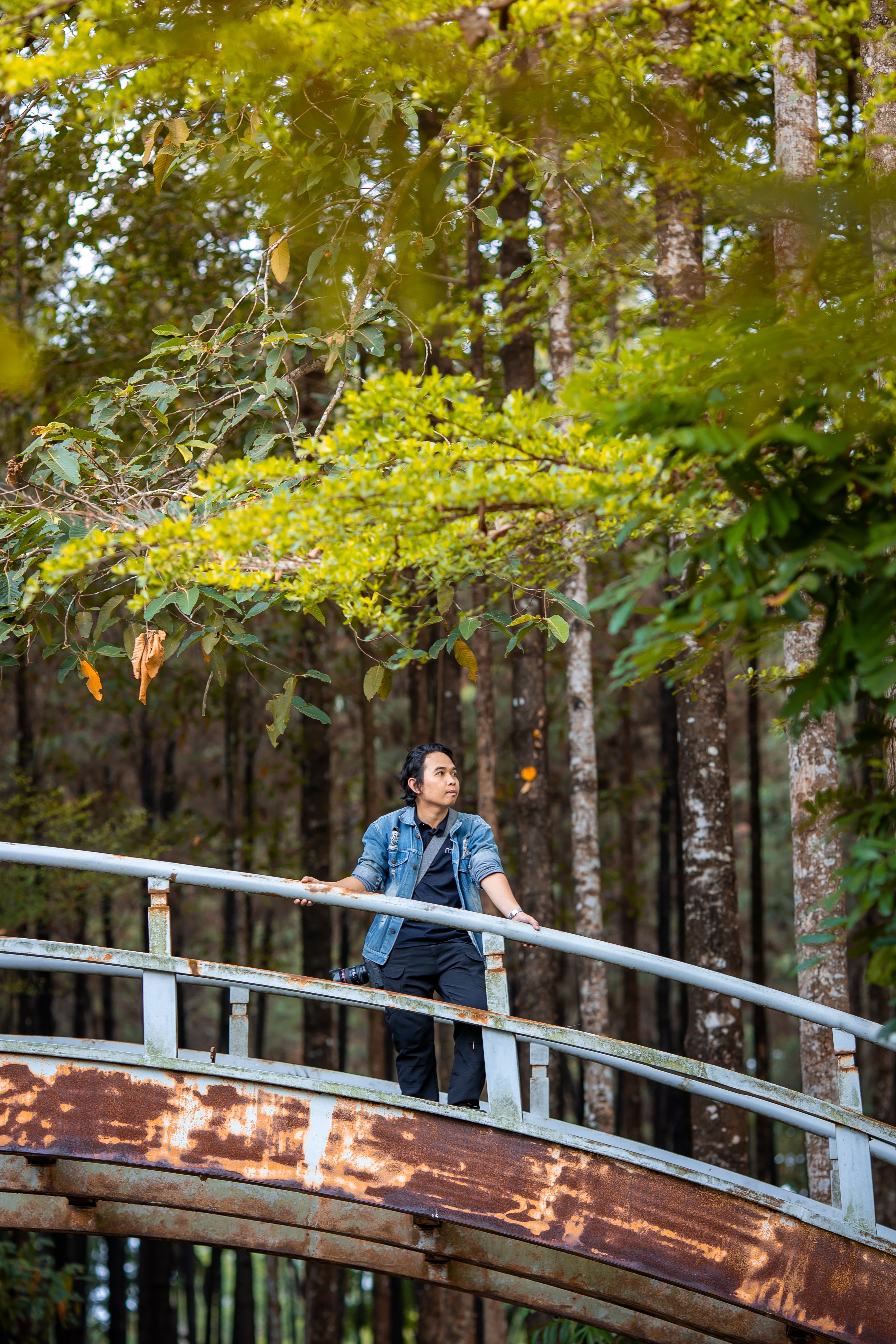 Man on Rustic Bridge in Forested Area · Free Stock Photo