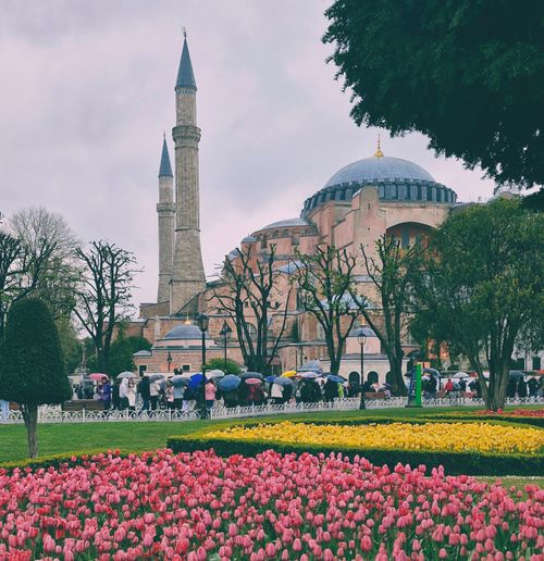 Free stock photo of a mosque, ayasofya, hagia sophia Stock Photo