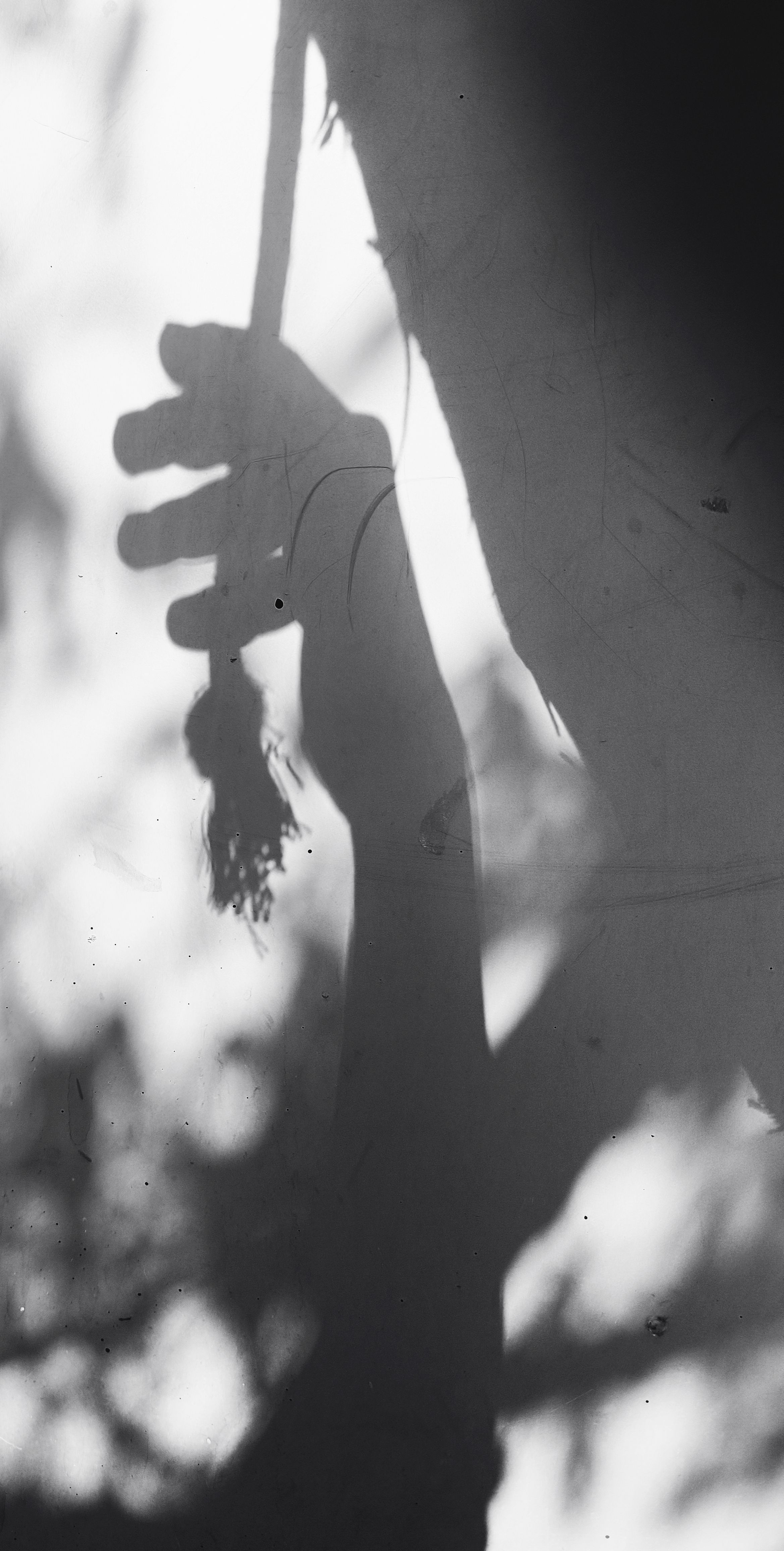 Dramatic black and white silhouette depicting a hand holding a rope among blurred background elements.
