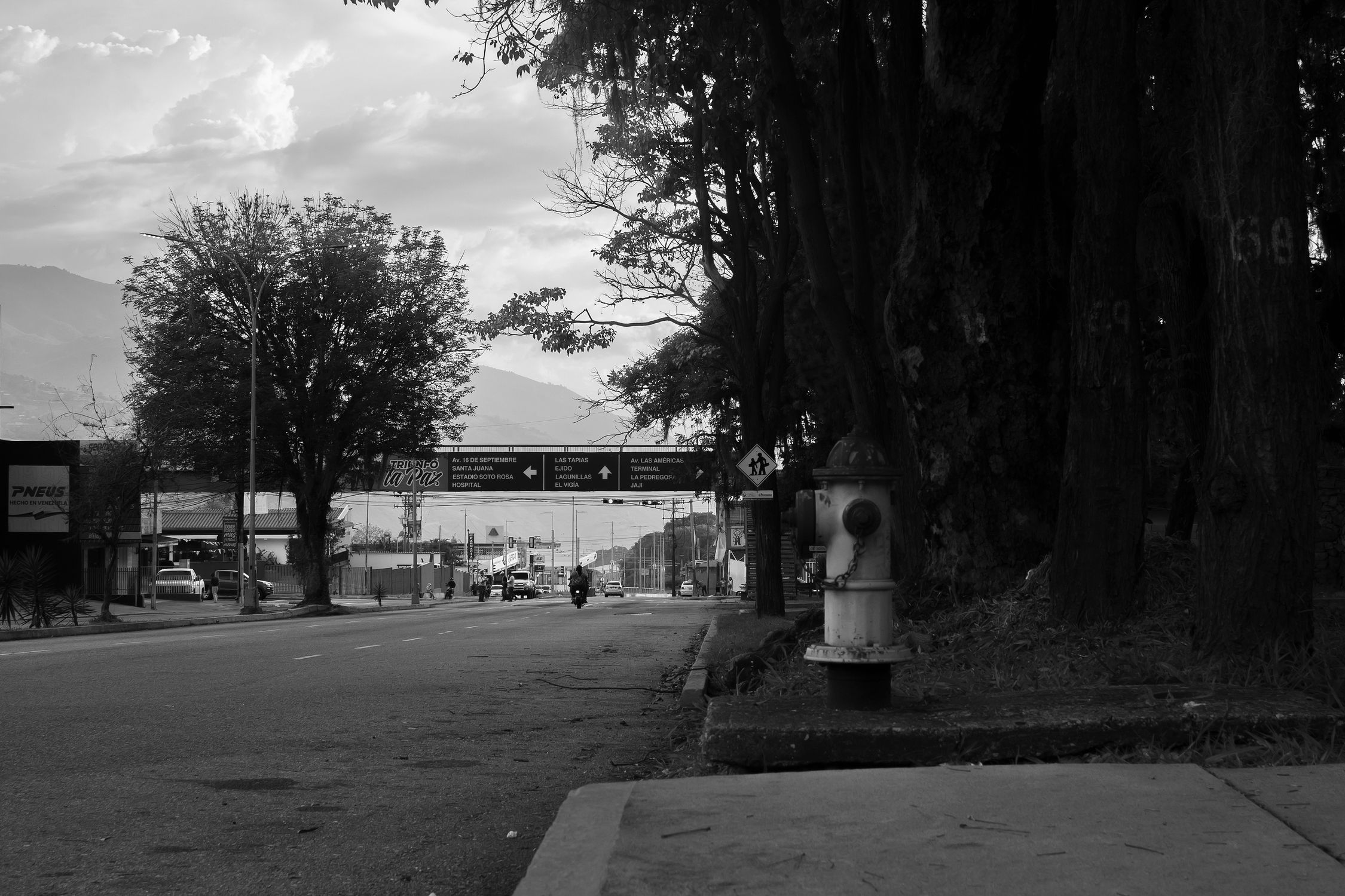 Black and White Urban Street with Traffic Scene · Free Stock Photo