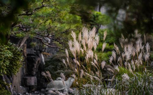 Free stock photo of autumn, autumn color, autumn colors Stock Photo