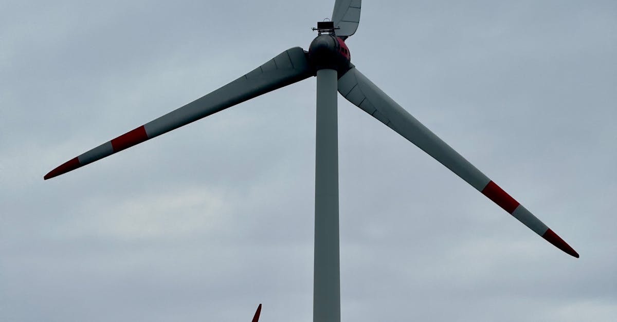 全民響應淨零生活!「淨零綠生活大聯盟」正式成立,彭部長與洪淑幸司長攜手推動綠色轉型