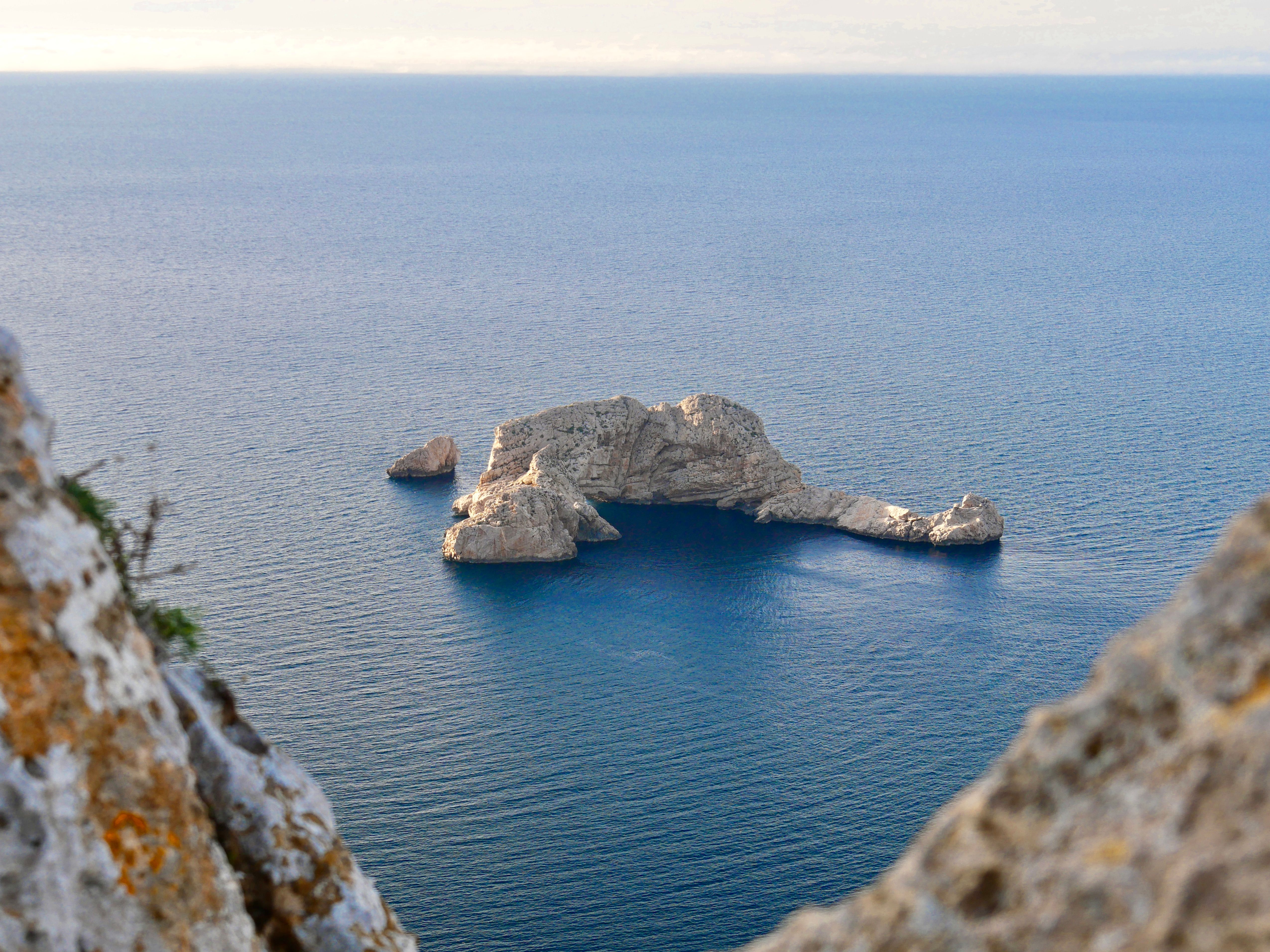 From Bankruptcy to the Ibiza Brand