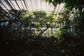 Artwork for Unraveling Health: Reversing Disease Naturally - The Power of Natural Healing and Wellness