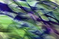Abstract Colorful Motion Blur Art in Nature