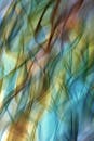 Abstract Motion Blur of Colorful Leaves