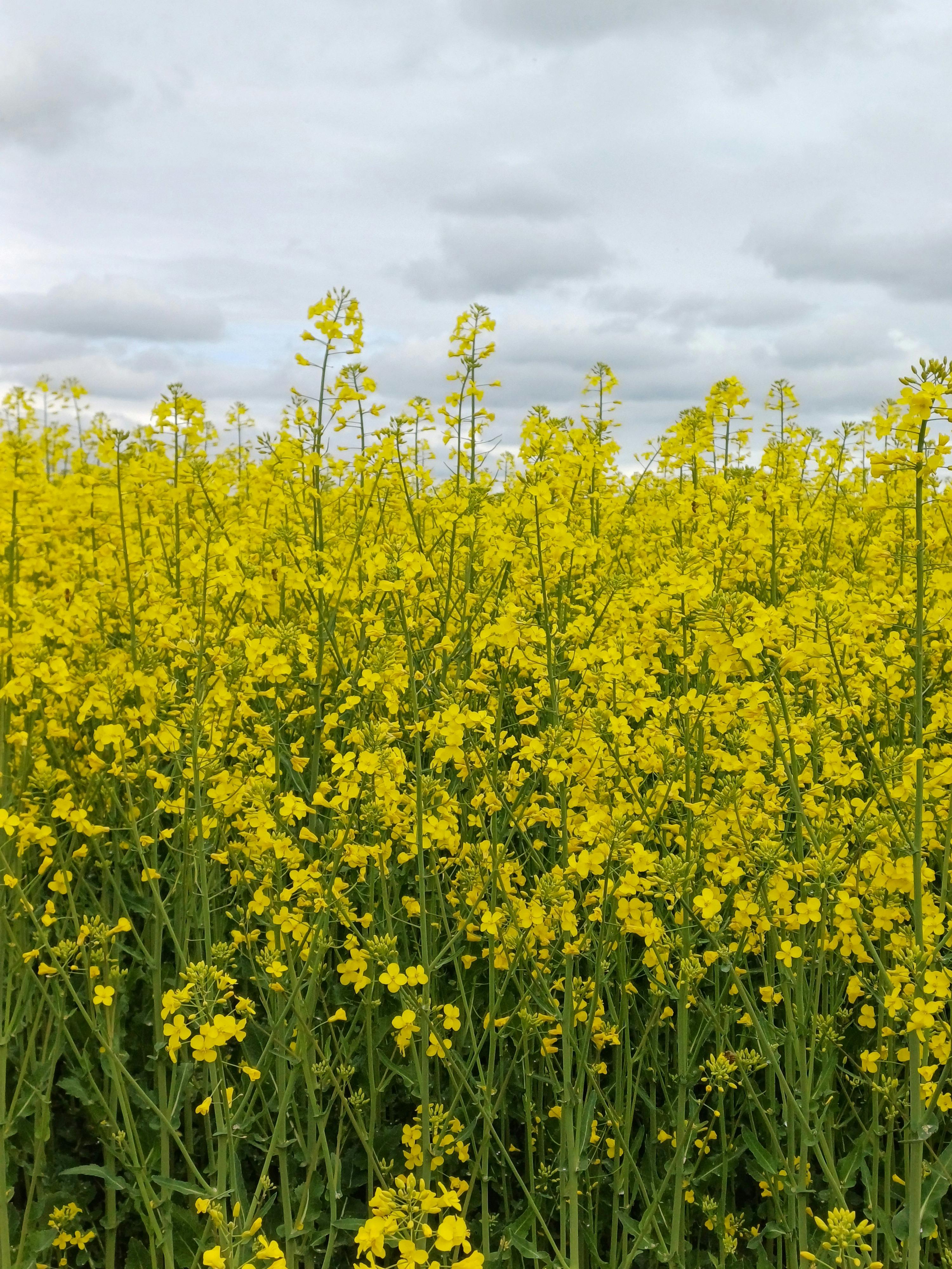 Ebony+Legs+Spread+Wide+Open Photos, Download The BEST Free Ebony+Legs