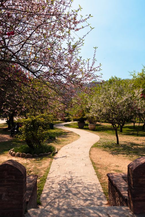 Spring Scenery Pathways Serene Garden Pathway in Blooming Spring Landscape · Free Stock Photo