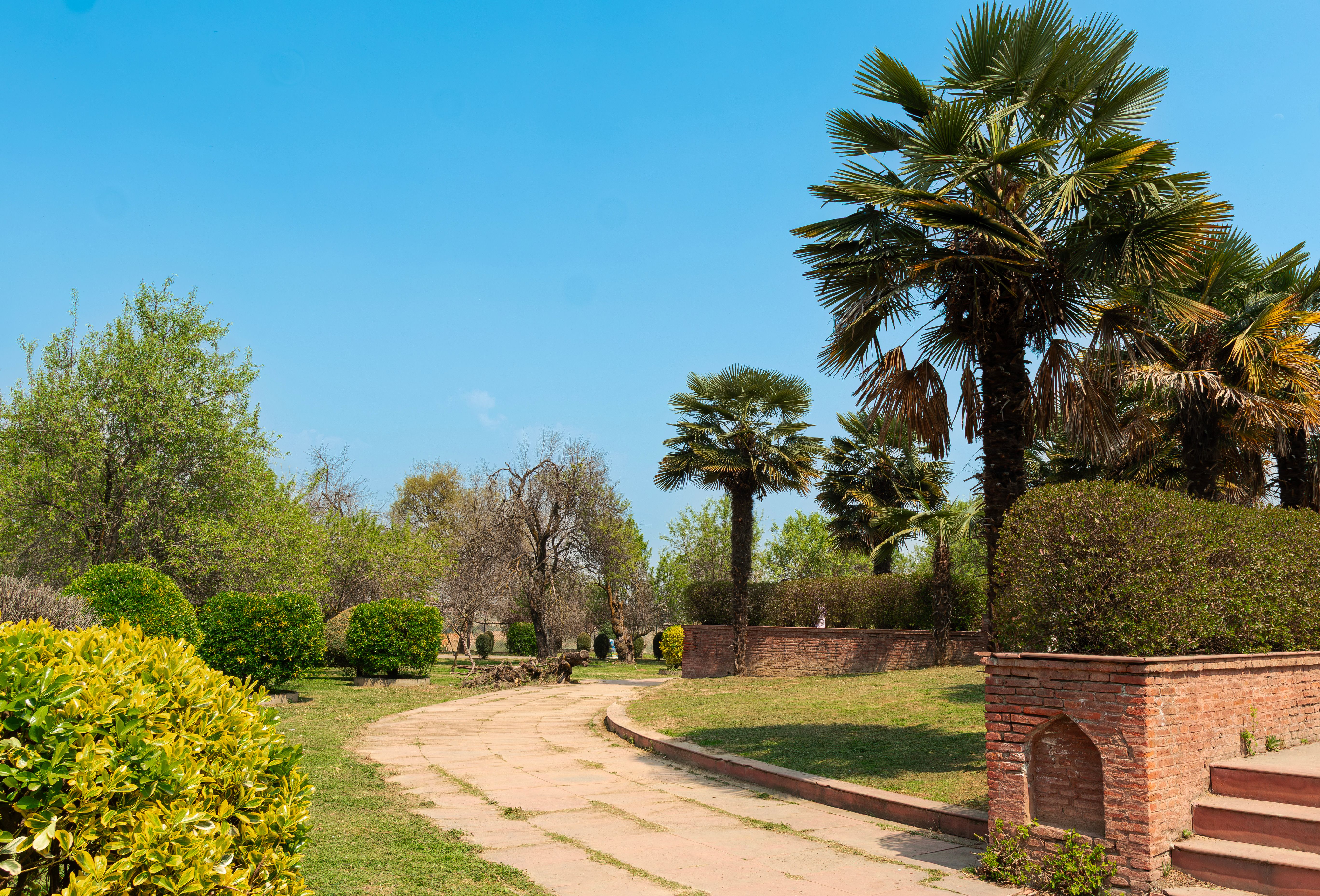 Sculpture-lined walkway and rocky terraces in the Garden of Five Senses, Saket