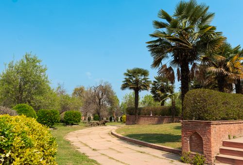 Free A tranquil garden with a paved path and vibrant greenery under a clear blue sky. Stock Photo