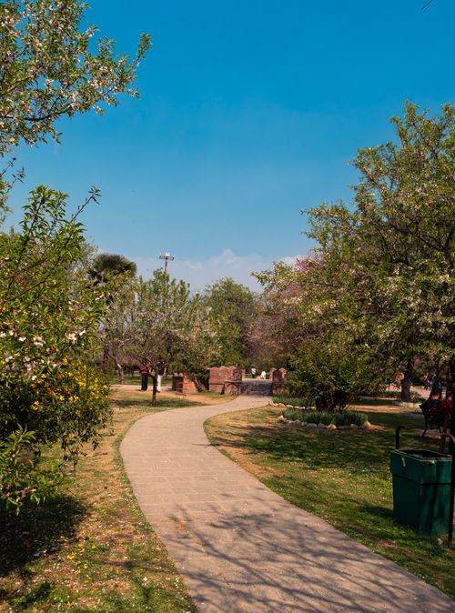 Free A peaceful park pathway surrounded by blossoming trees and vibrant greenery on a sunny spring day. Stock Photo