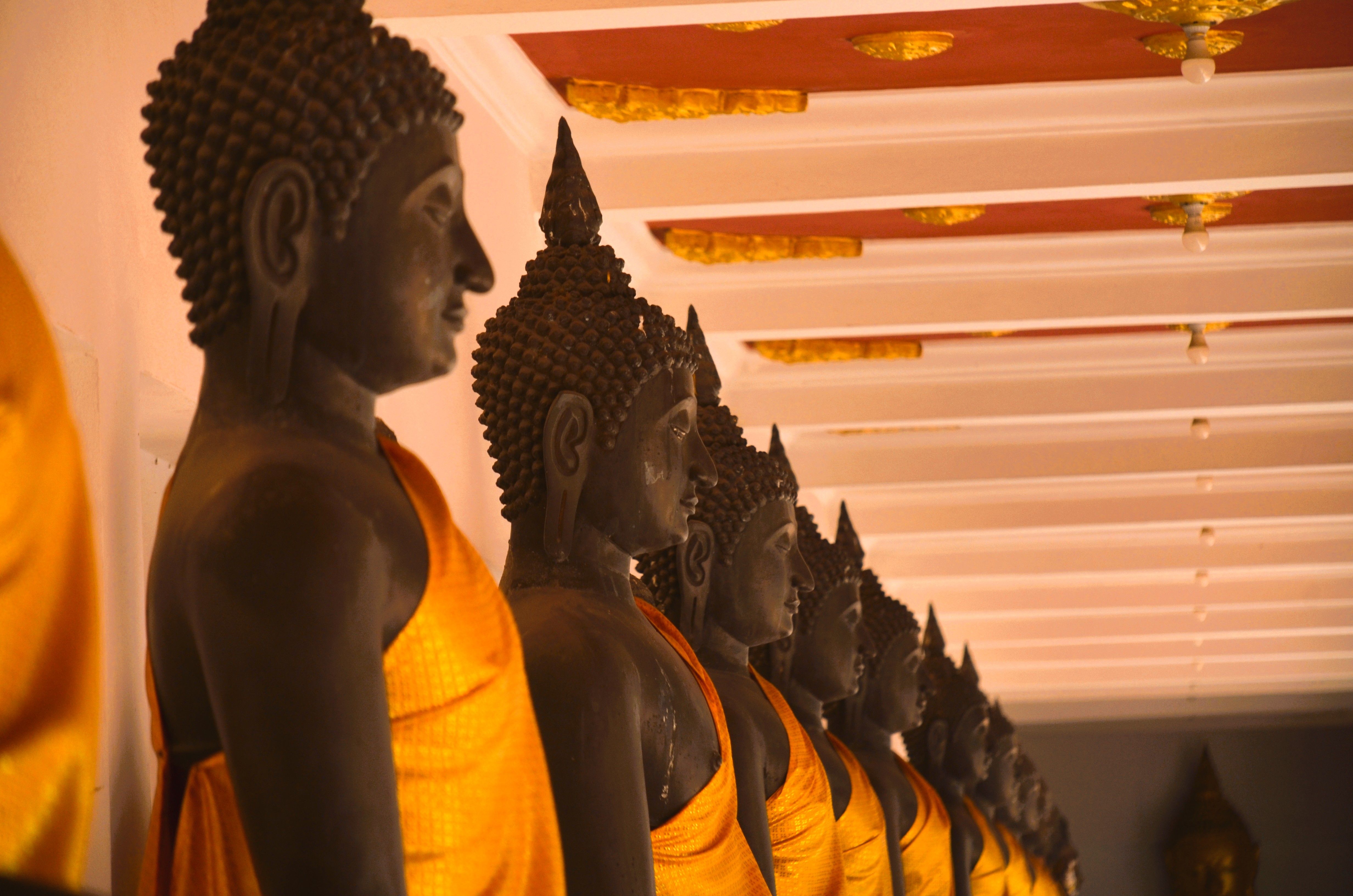 A line of Buddha statues wearing saffron robes inside a temple, exuding serenity.