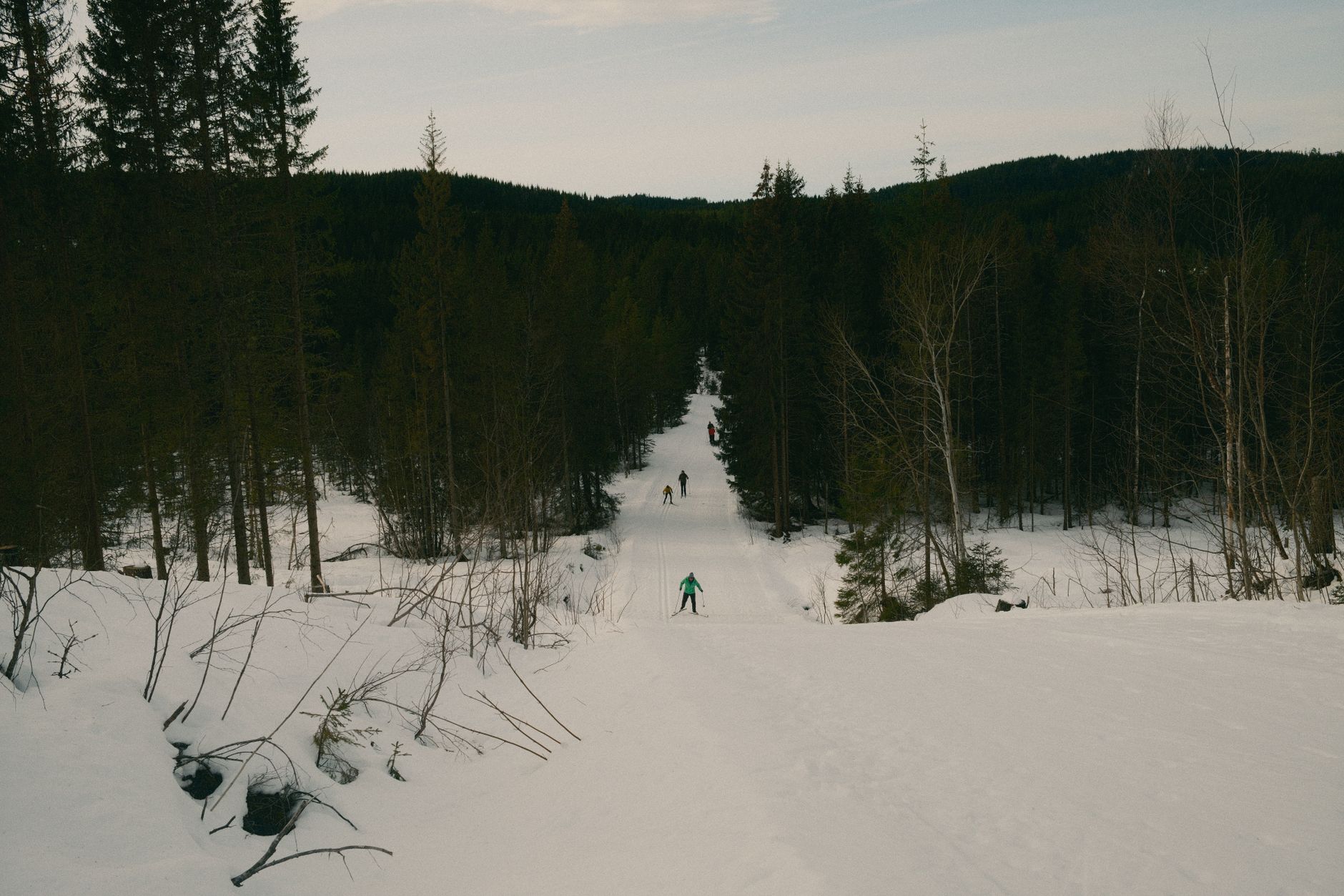 Mauricycle / Fatbike