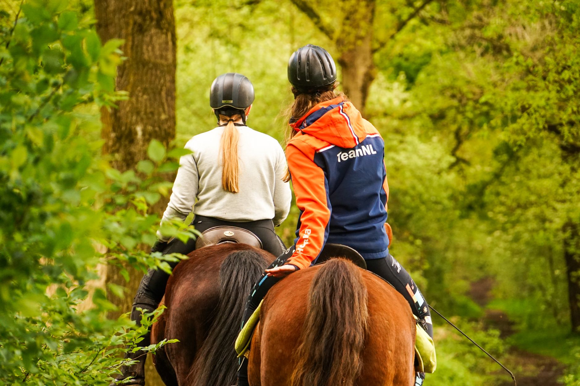 Equitation pour adultes