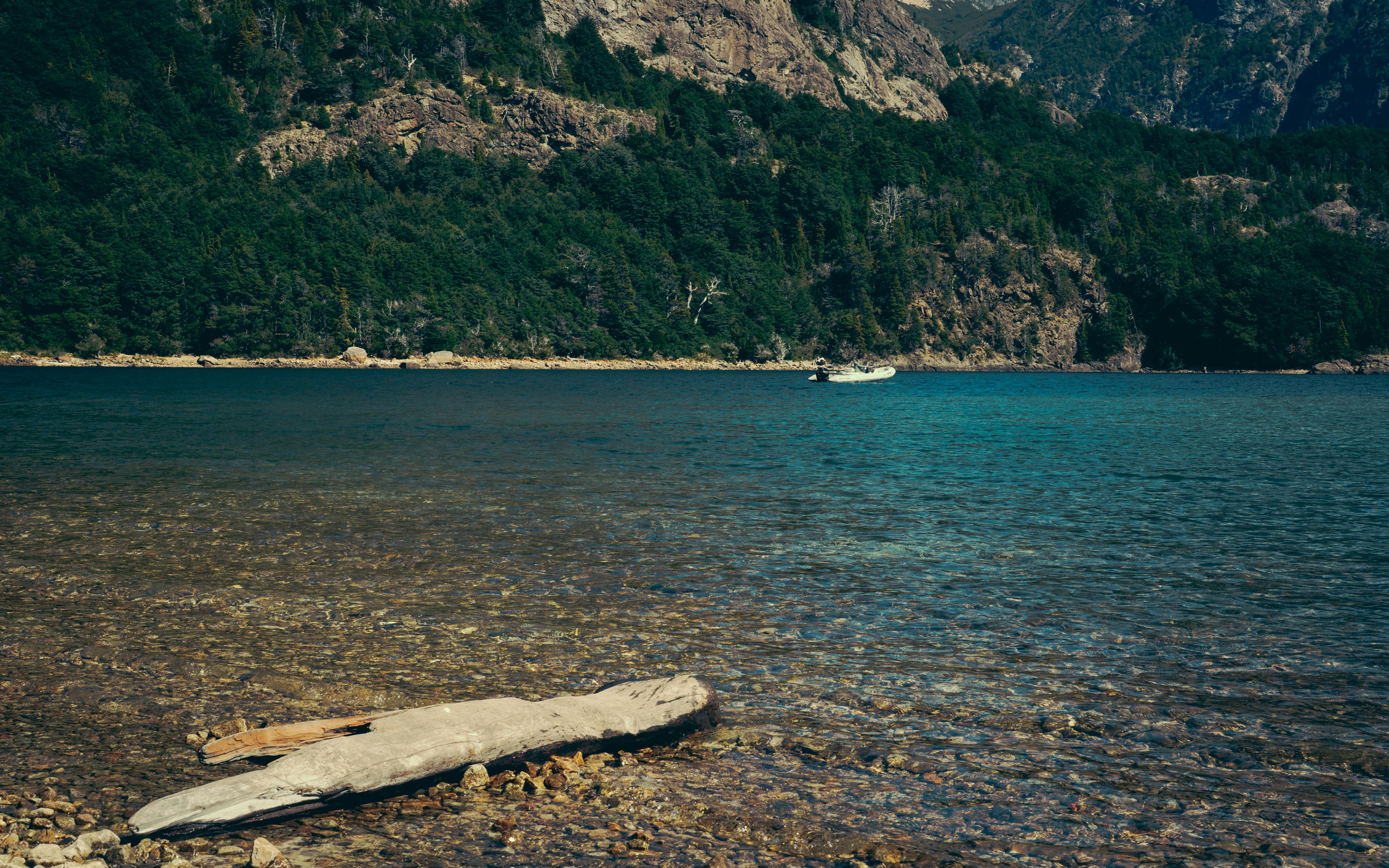 Serene view of lake and forested mountains in Bariloche, Argentina.