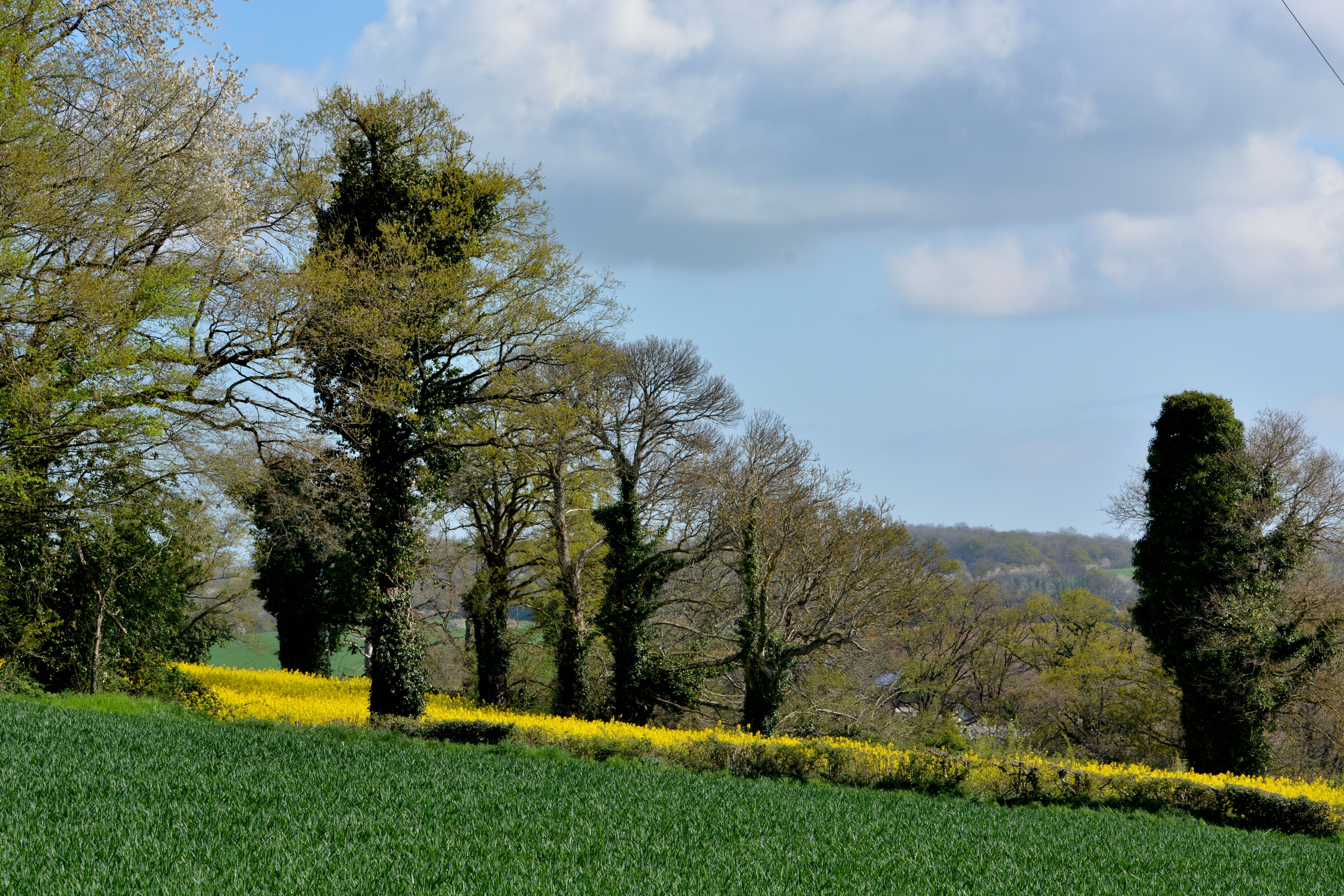 Hauts-de-France