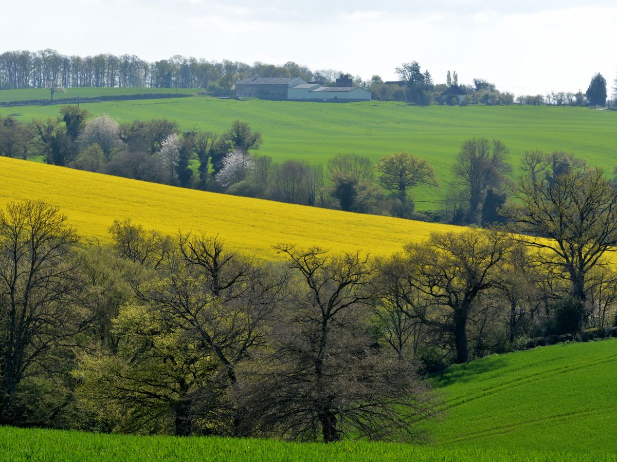 5 Day Walk the Camino de Santiago in southwest France 1