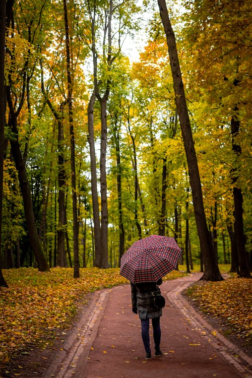 
Photo Of Person Holding Umbrella