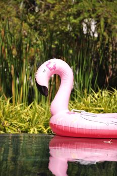 Bright pink flamingo float in a sunlit pool, surrounded by lush greenery.