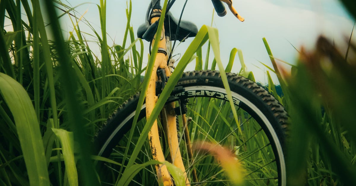 香港國際場地盃|李思穎寓賽於操領軍爭標,楊倩玉相隔兩年重返主場出擊