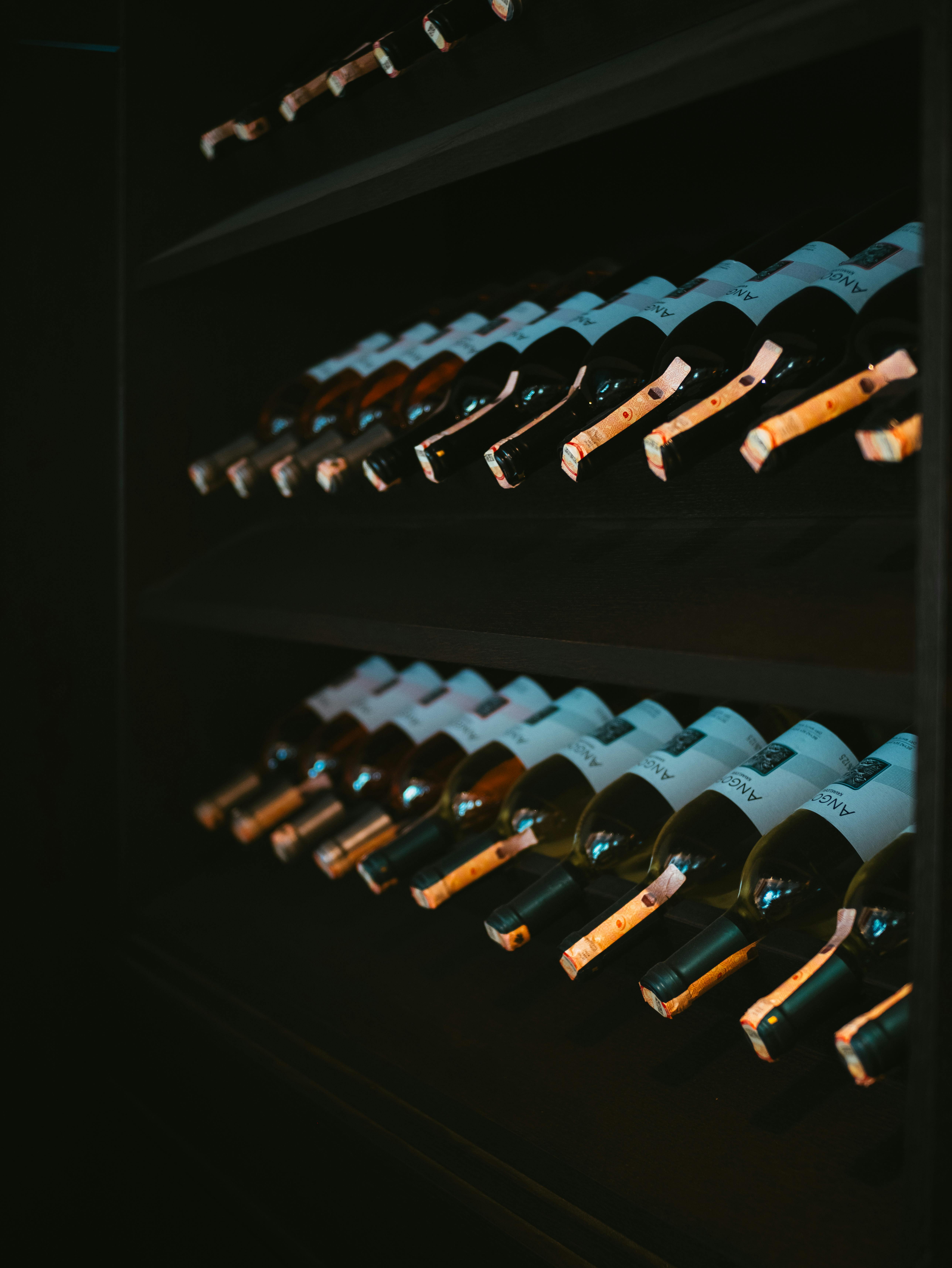 A row of wine bottles arranged neatly in a dimly-lit wine cellar, creating a classic ambiance.