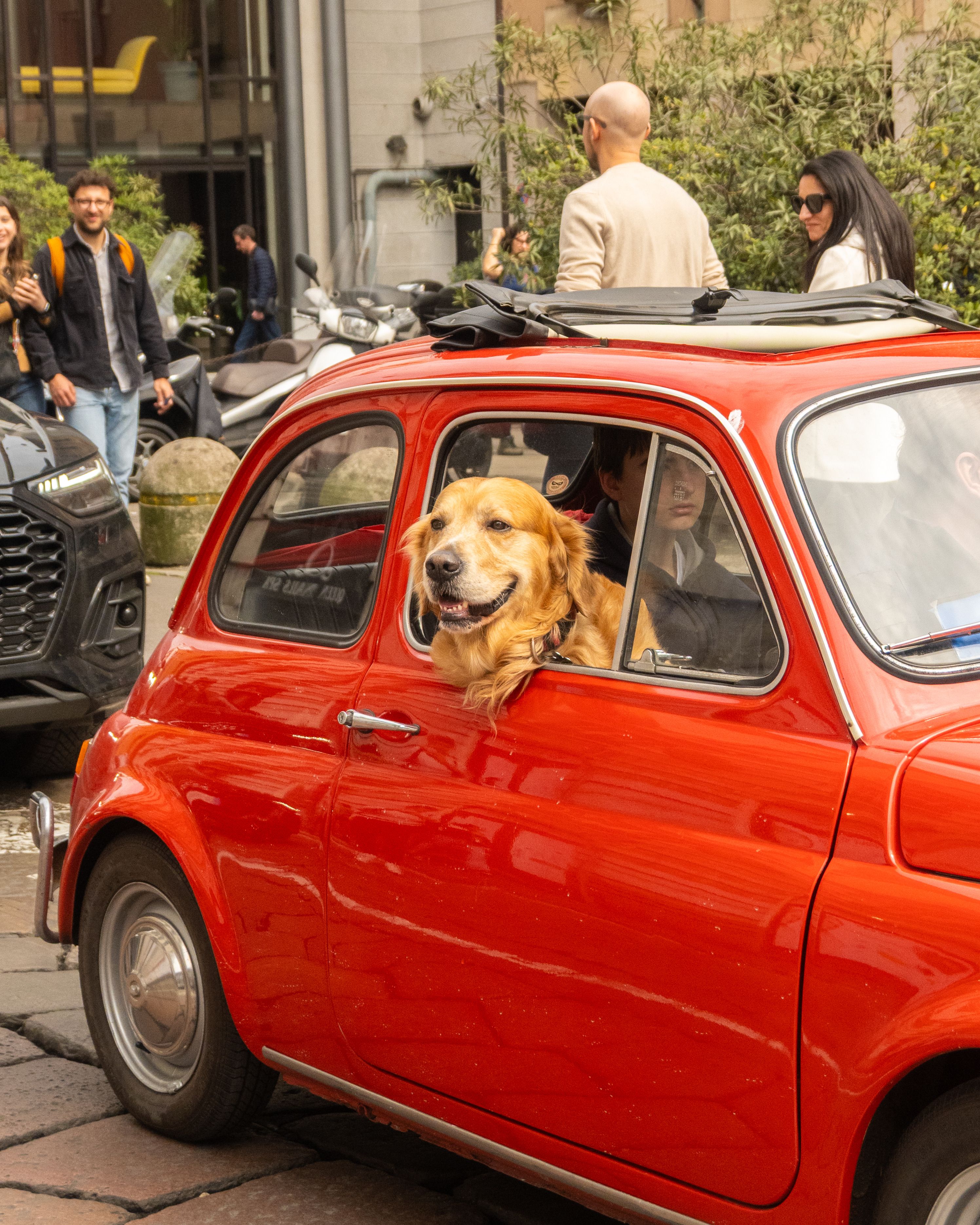 Learn In Your Car Italian Level 01
