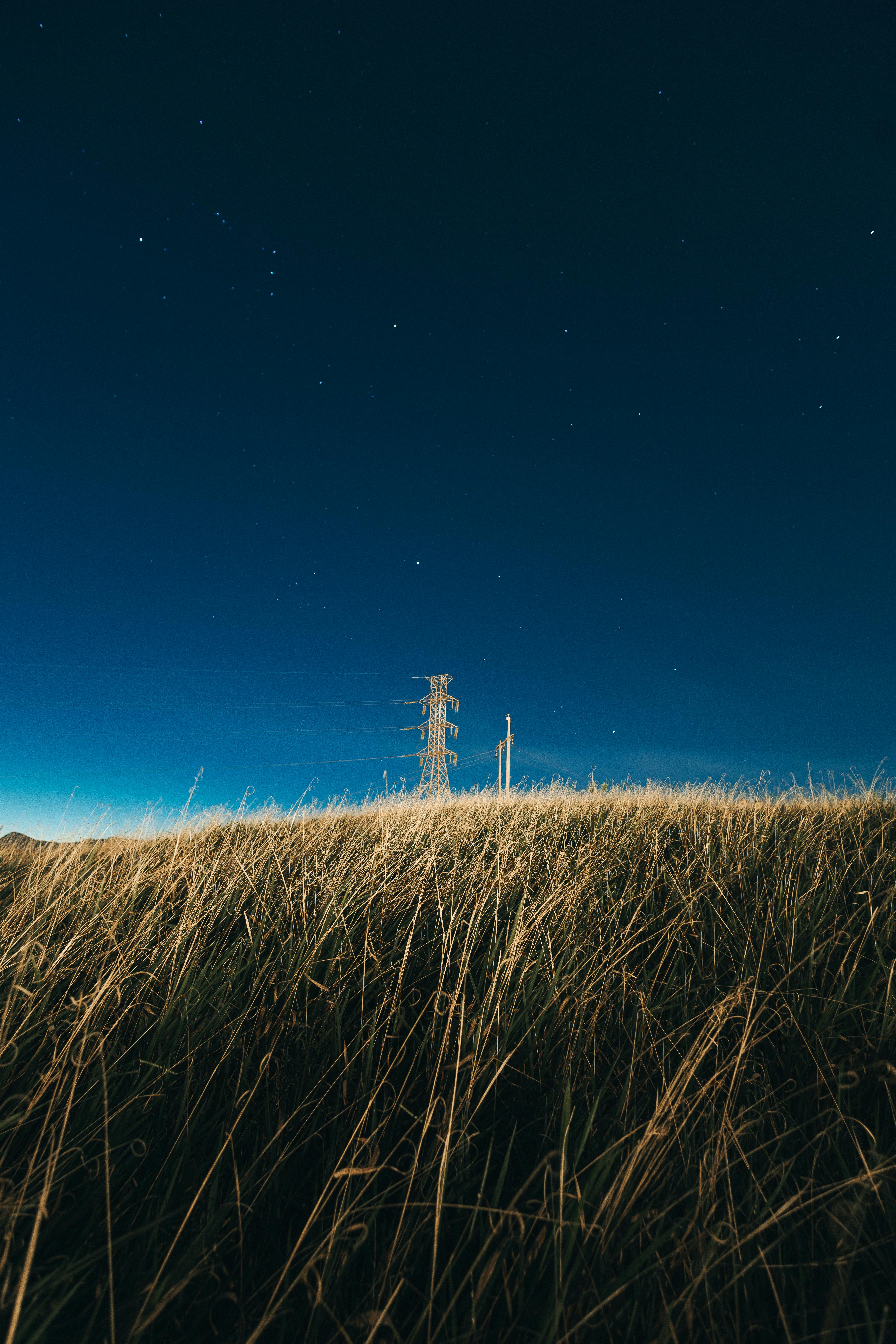 Tranquil rural landscape under a starry sky at night, with clear visibility and tall grass in the foreground.