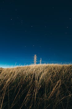 Tranquil rural landscape under a starry sky at night, with clear visibility and tall grass in the foreground.