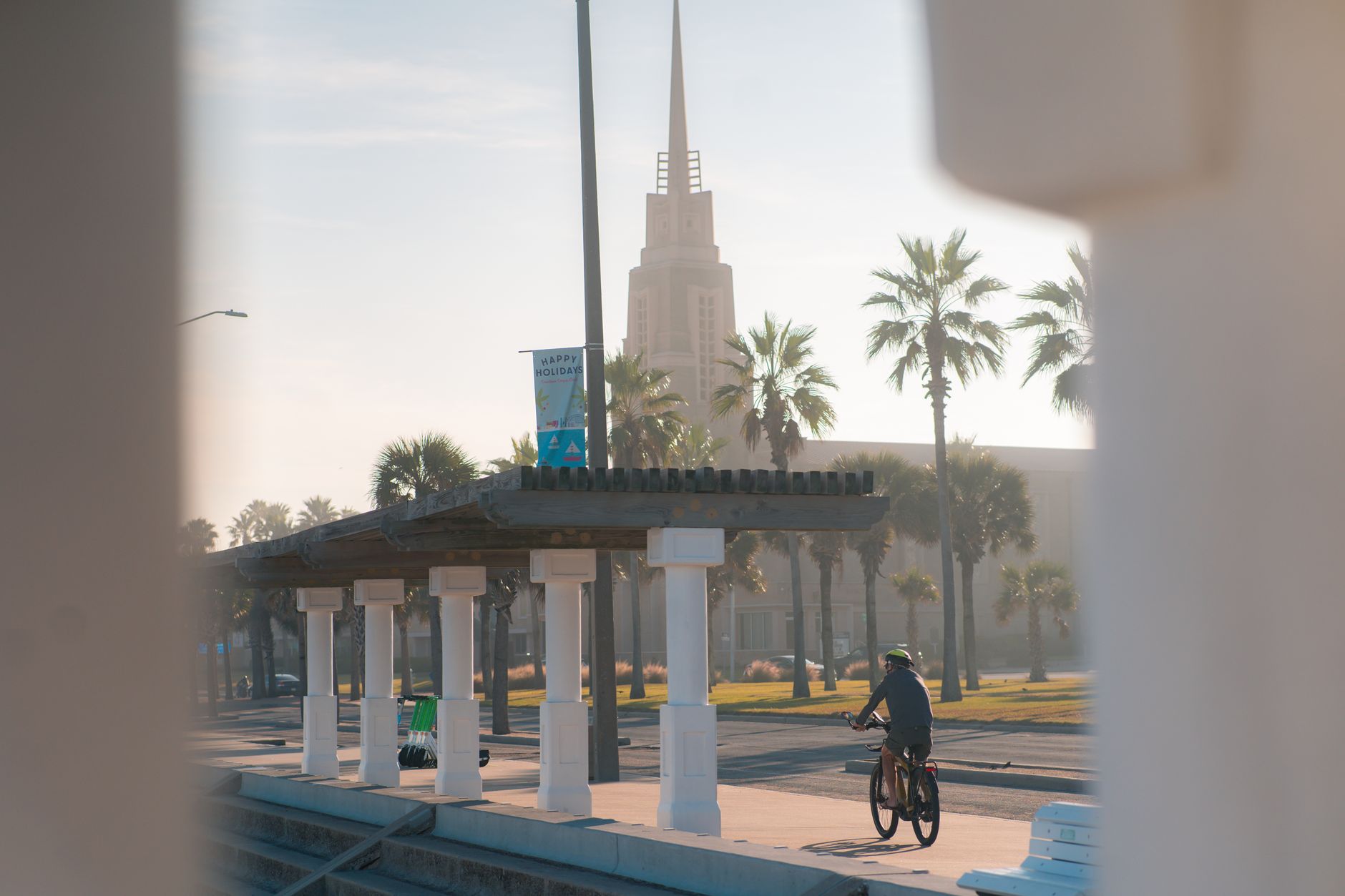 Serene morning view with a cyclist in Corpus Christi, featuring palm trees and urban architecture.