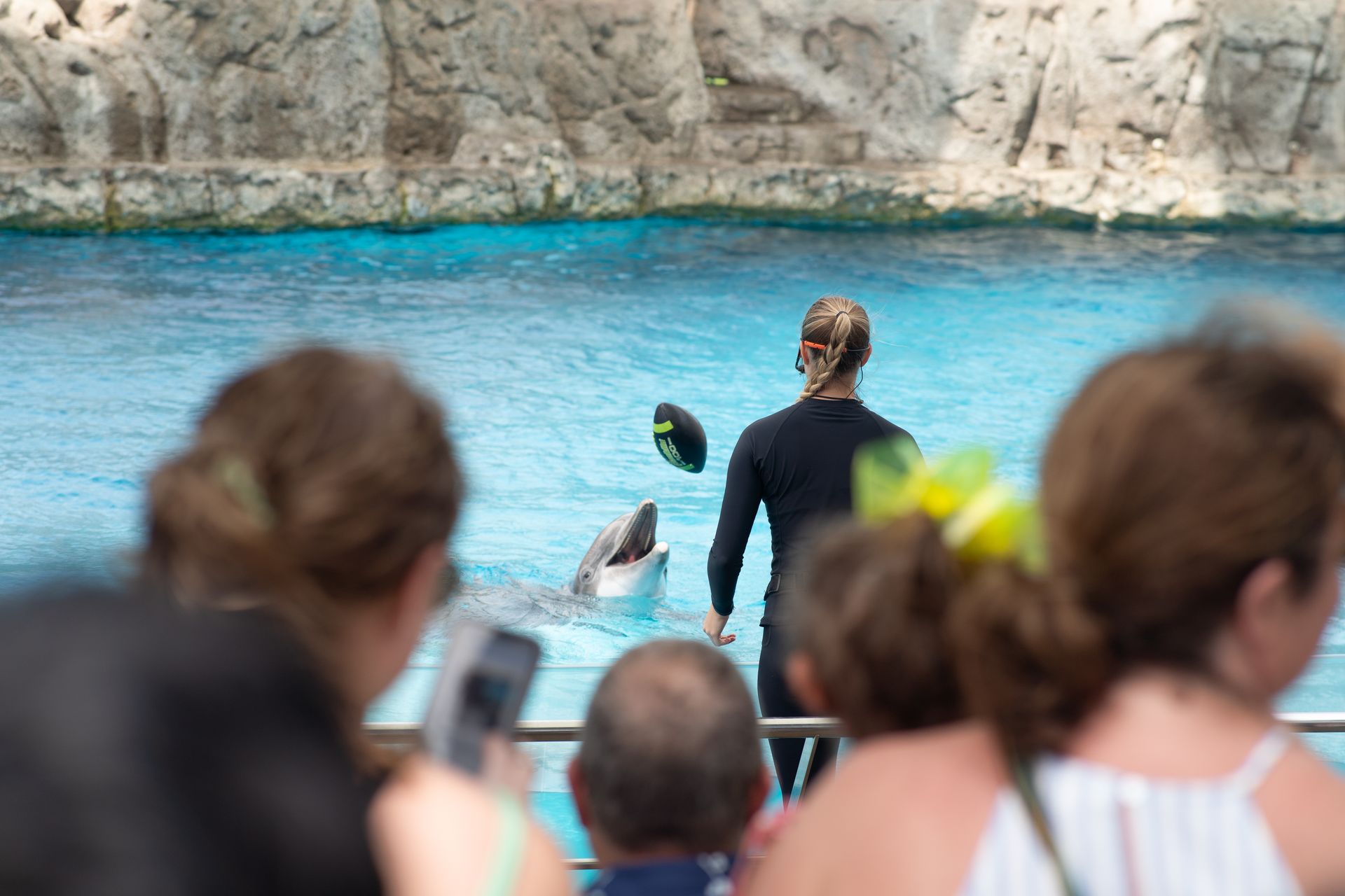 Exciting dolphin show at an outdoor aquarium in Corpus Christi, Texas featuring playful interactions with a trainer.