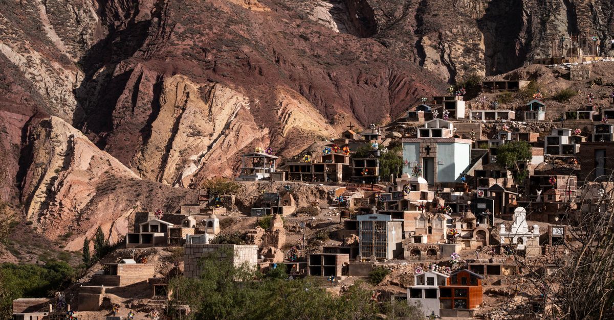 Mendoza Argentine : Guide Voyage Complet 2026