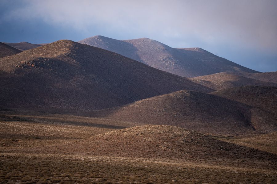 Cafayate y bodegas de altura