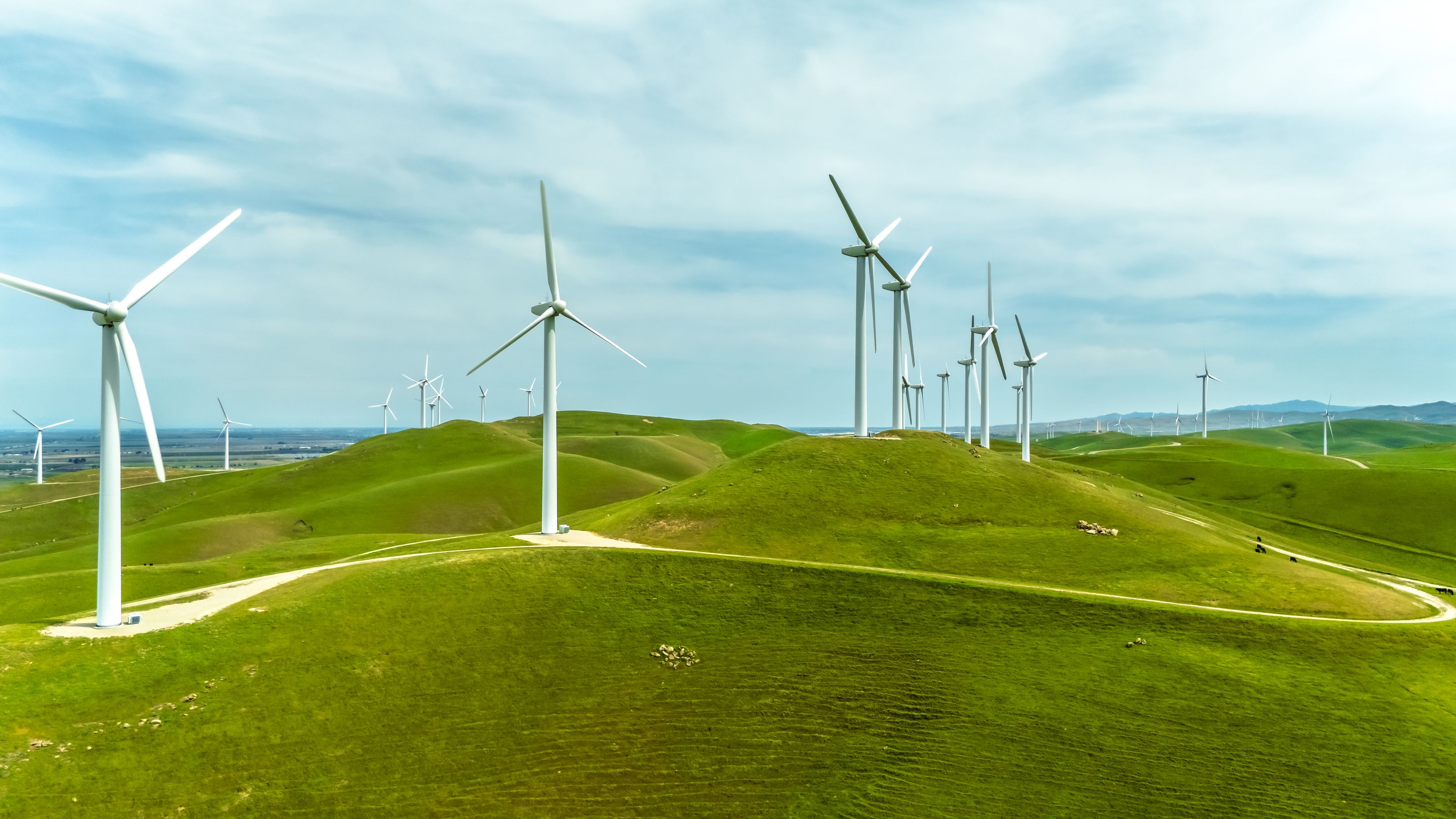 Wind turbines stand tall on lush green hills under a blue sky, generating clean energy in California's landscape.