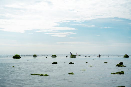 Tranquil coastal landscape with distant figures and sea rocks under a blue sky.