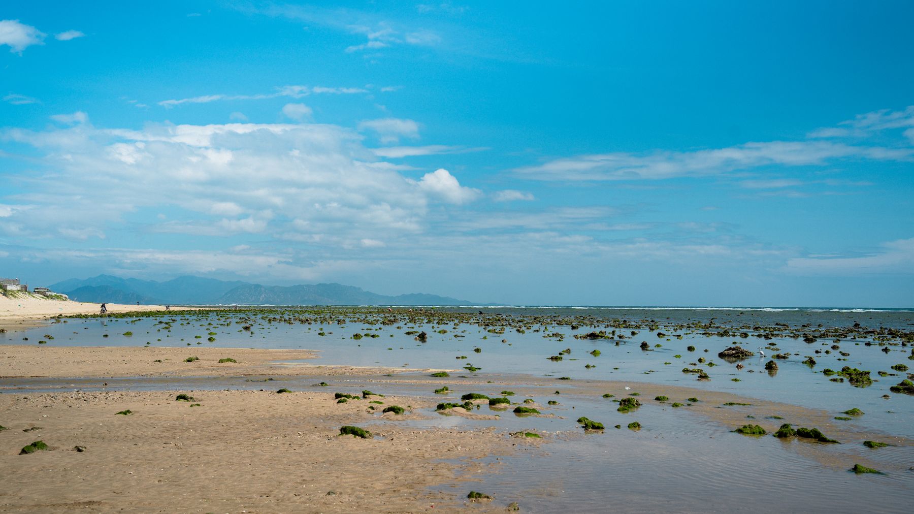 A tranquil sandy beach with scattered rocks and a vast blue sky, providing a serene coastal view.