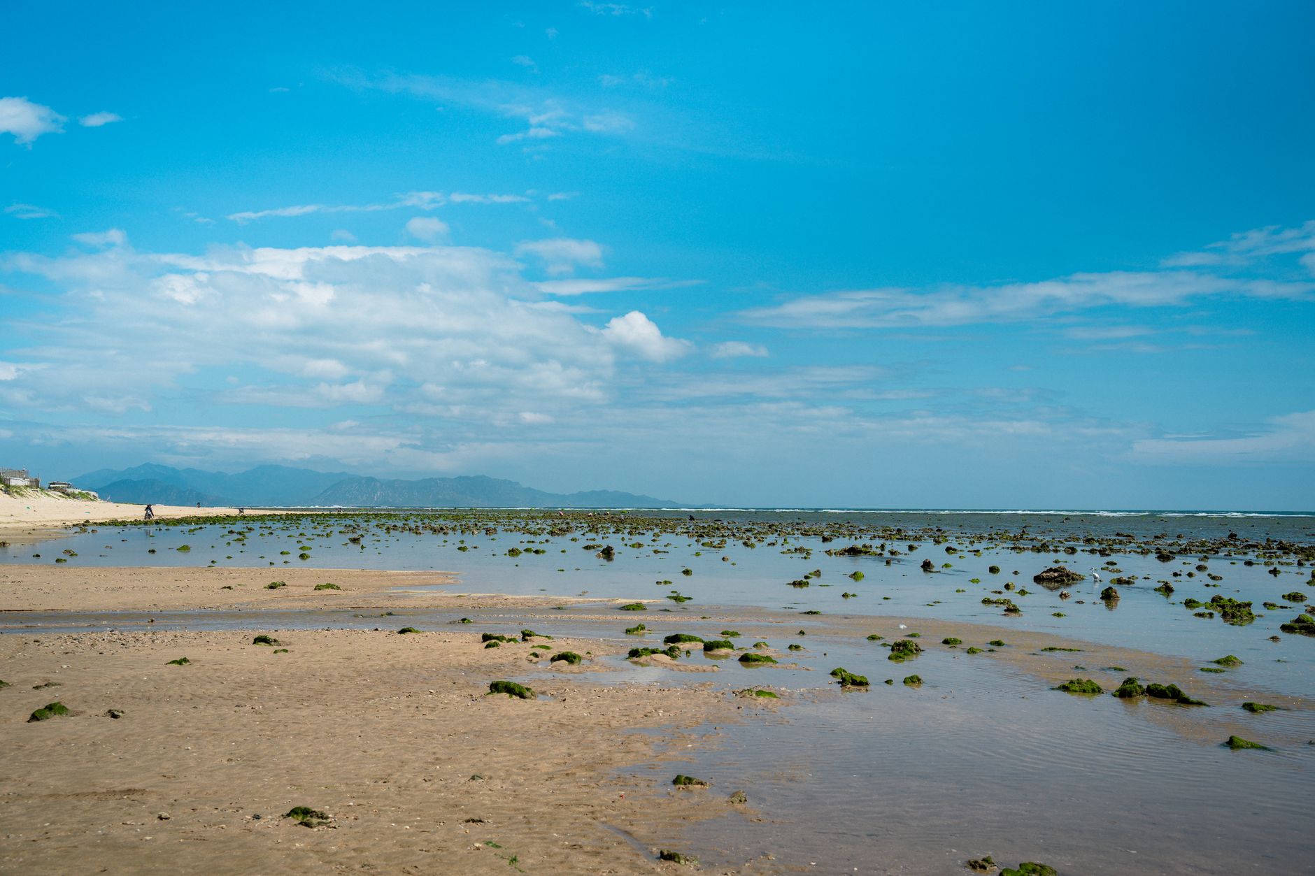 A tranquil sandy beach with scattered rocks and a vast blue sky, providing a serene coastal view.