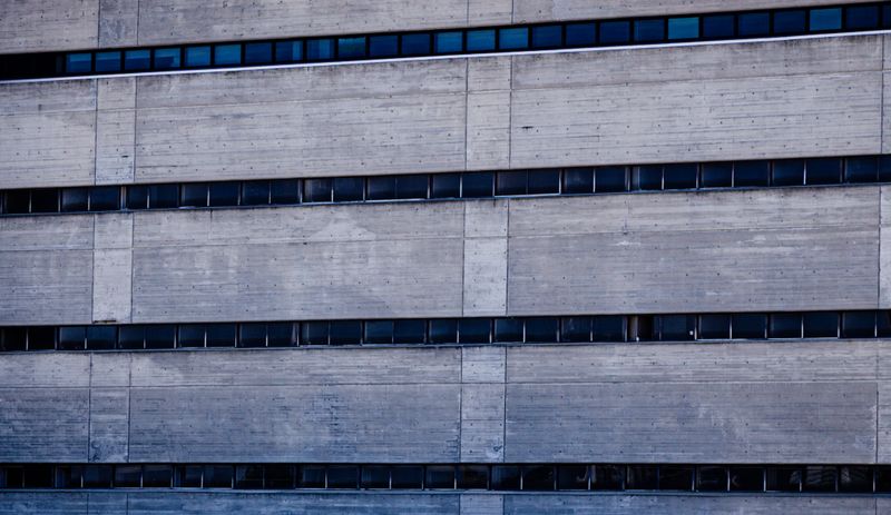 The Concrete Oasis