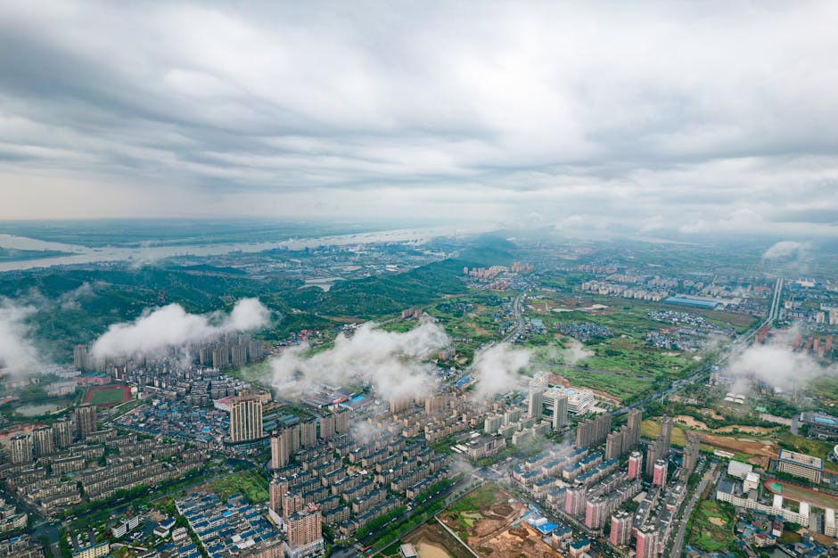 An aerial view of Auckland, showcasing the city's green spaces and the potential for more parklets.