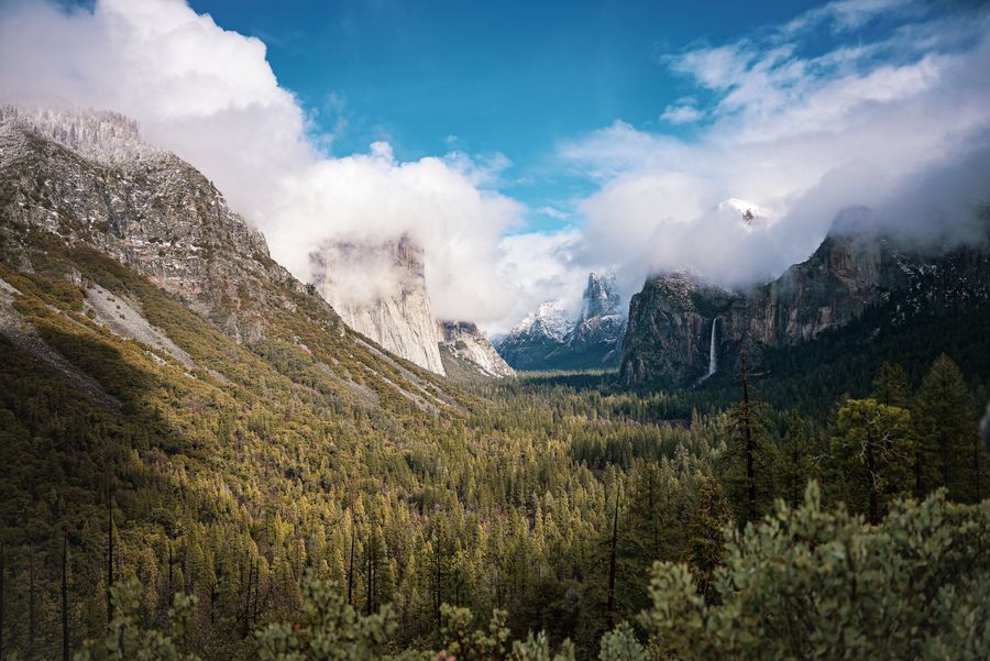 Granite cliffs and waterfall above the pine forests of Yosemite Valley