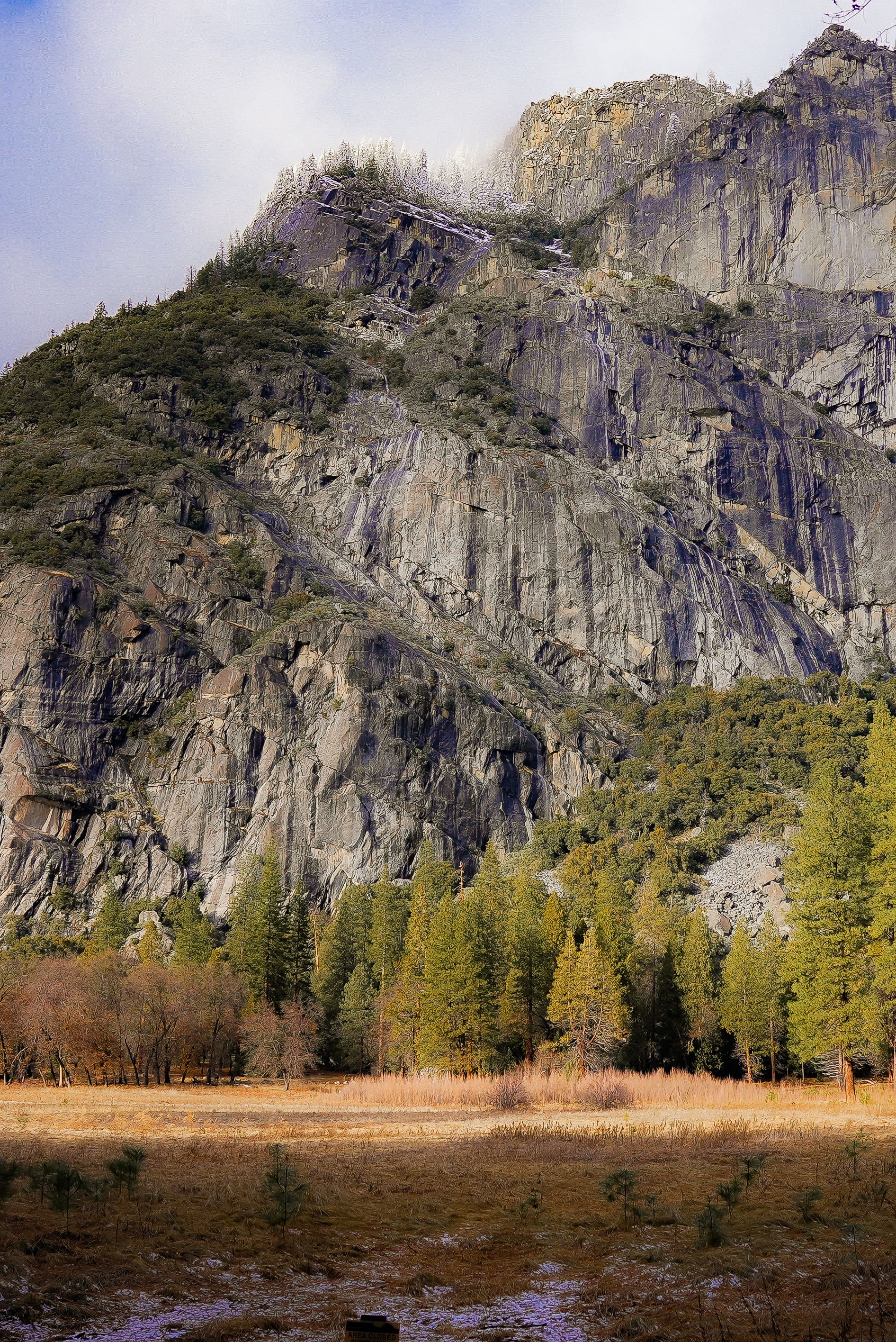 Fotomural Vista dramática de los acantilados imponentes de Yosemite y el frondoso bosque de pinos en California, EE. UU.
