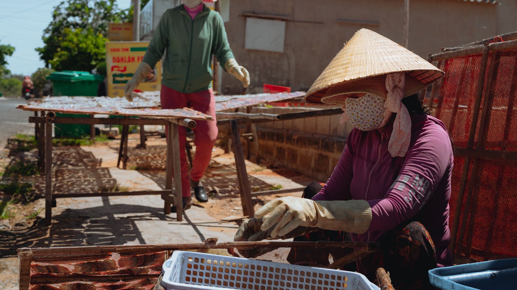 Workers dry seafood under the sun in Bình Thuận, showcasing traditional methods and rural life.