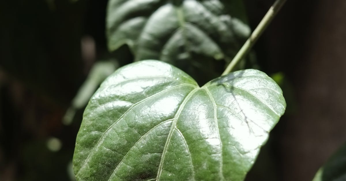 【彭部長有話說】綠色生活低碳飲食研討會開場演說精彩回顧